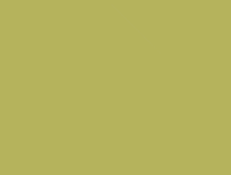 Abaya - vert olive